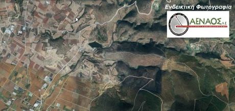 Αγροτεμάχια 6.589 τ.μ. για πώληση