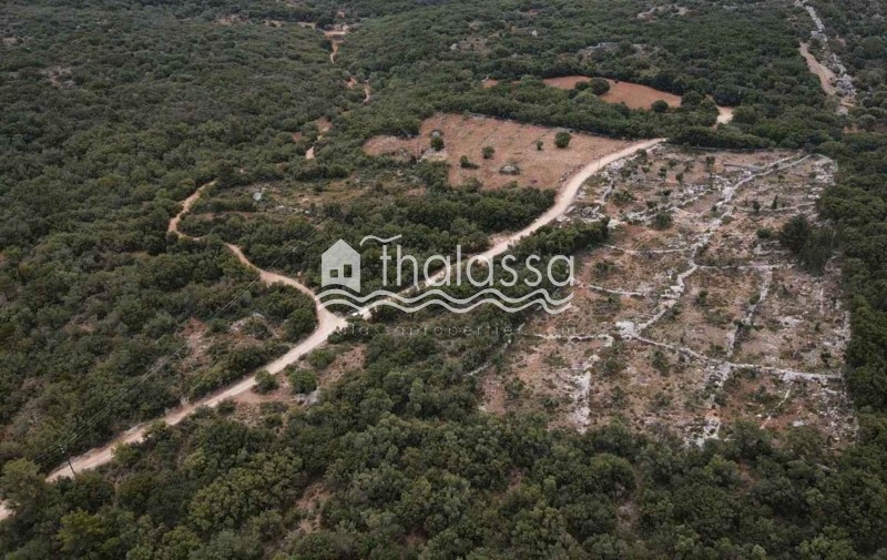 Οικόπεδο 3.000 τ.μ. πρός πώληση, Ν. Κεφαλονιάς, Κεφαλονιά