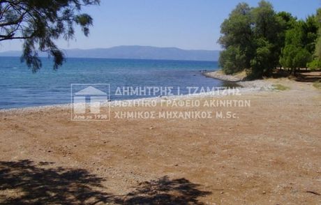Οικόπεδο 700τ.μ. για πώληση-Ταμύνες » Αλιβέρι