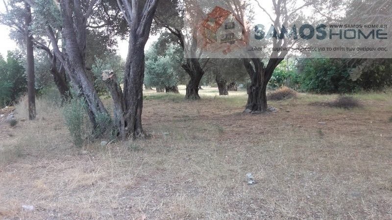 Οικόπεδο 1.054 τ.μ. για πώληση, Ν. Σάμου, Σάμος