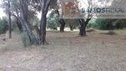 Οικόπεδο 1.054τ.μ. για πώληση-Σάμος