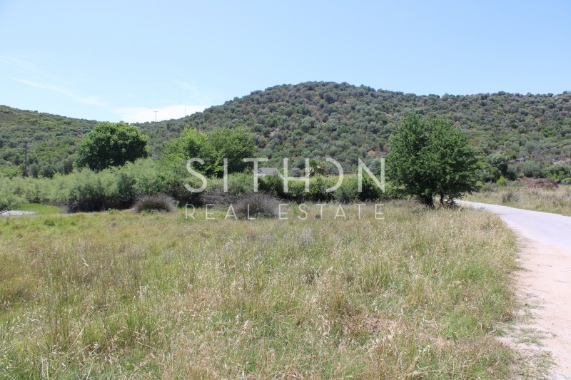 Αγροτεμάχια 996 τ.μ. προς πώληση, Δεστενίκα