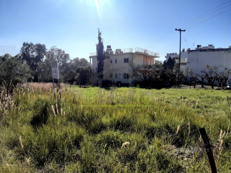 Οικόπεδο 400 τ.μ. προς πώληση, Αρόη