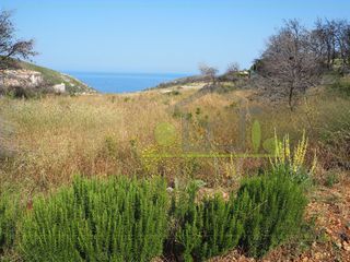 Οικόπεδο 3.550 τ.μ. για πώληση, Ζάκυνθος, Ελάτιο-thumb-14