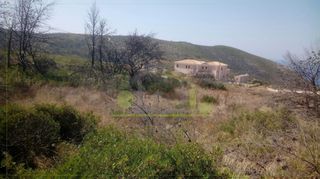 Οικόπεδο 3.550 τ.μ. για πώληση, Ζάκυνθος, Ελάτιο-thumb-16