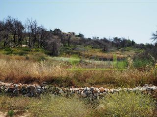 Οικόπεδο 3.550 τ.μ. για πώληση, Ζάκυνθος, Ελάτιο-thumb-11