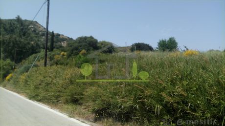 Land plot 3.600sqm for sale-Rio » Ano Kastritsi