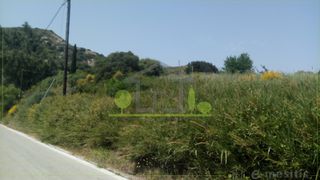 Οικόπεδο 3.600 τ.μ. για πώληση