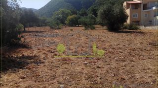 Οικόπεδο 400 τ.μ. προς πώληση, Ψαθόπυργος-thumb-21