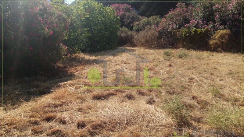 Οικόπεδο 400 τ.μ. προς πώληση, Ψαθόπυργος