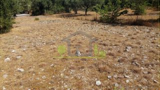 Οικόπεδο 400 τ.μ. προς πώληση, Ψαθόπυργος-thumb-12