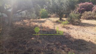 Οικόπεδο 400 τ.μ. προς πώληση, Ψαθόπυργος-thumb-2