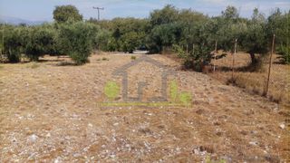 Οικόπεδο 400 τ.μ. προς πώληση, Ψαθόπυργος-thumb-11