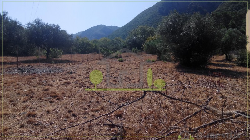 Οικόπεδο 400 τ.μ. προς πώληση, Ψαθόπυργος