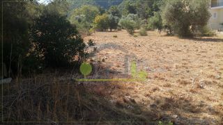 Οικόπεδο 400 τ.μ. προς πώληση, Ψαθόπυργος-thumb-19