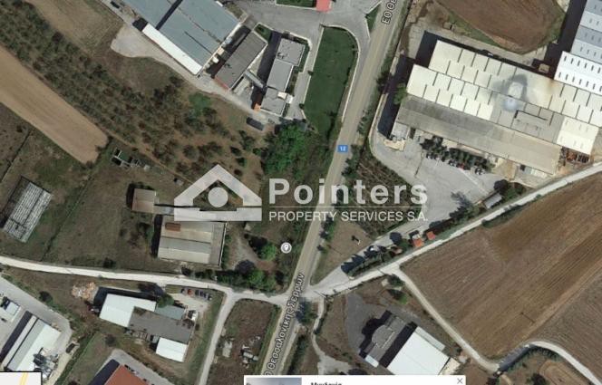 Αγροτεμάχια 5.388 τ.μ. προς πώληση, Δρυμός Μυγδονίας