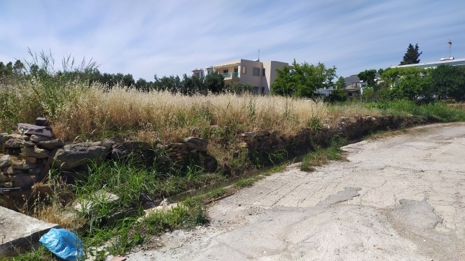Οικόπεδο 1.000 τ.μ. προς πώληση, Αετός Καρύστου