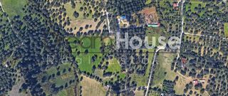 Αγροτεμάχια 2.655 τ.μ. προς πώληση, Οβριά-thumb-4