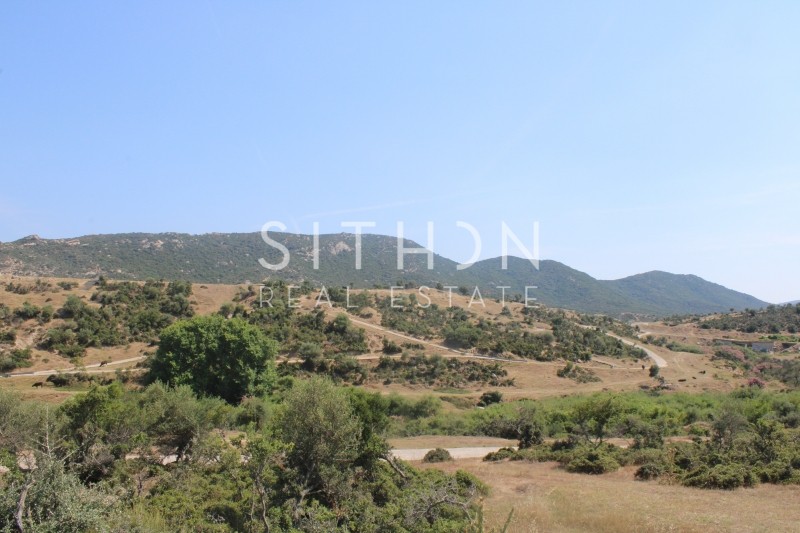 Οικόπεδο 500 τ.μ. προς πώληση, Σκάλα Συκέας