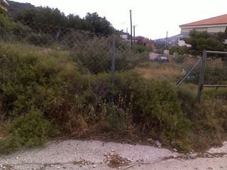 Land 540 sqm for sale