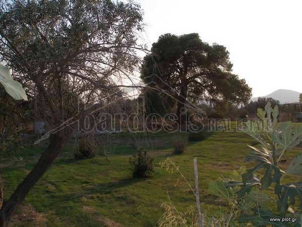 Γη 2.000 τ.μ. προς ενοικίαση, Βάρη - Βάρκιζα