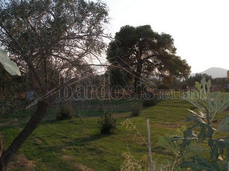 Γη 2.000 τ.μ. προς ενοικίαση