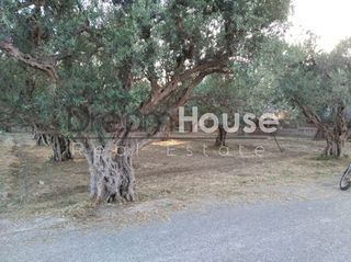 Οικόπεδο 1.100 τ.μ. για πώληση