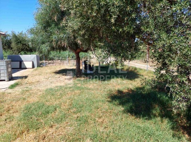 Αποθήκη 265 τ.μ. προς ενοικίαση, Αλισσός