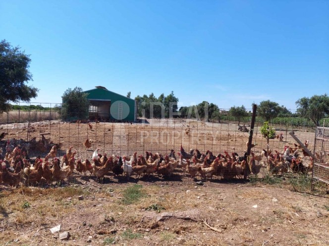 Αποθήκη 265 τ.μ. προς ενοικίαση, Αλισσός