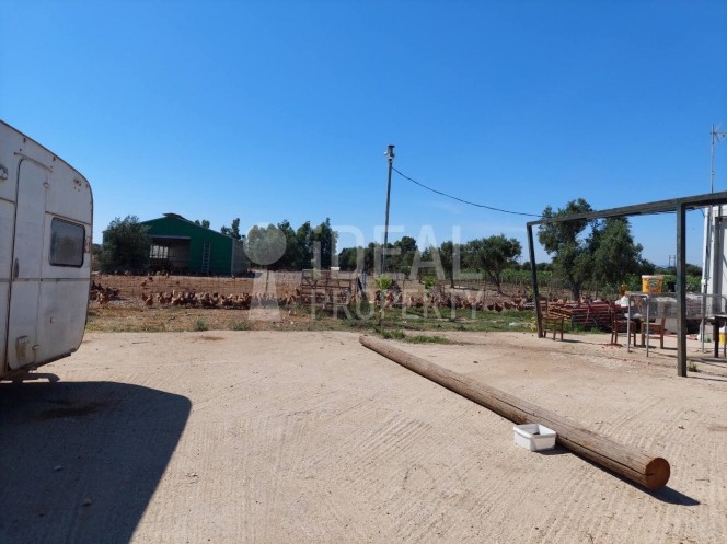 Αποθήκη 265 τ.μ. προς ενοικίαση, Αλισσός