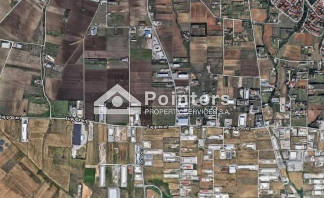 Αγροτεμάχια 10.000 τ.μ. προς πώληση, ΒΙ.ΠΑ. Ωραιοκάστρου