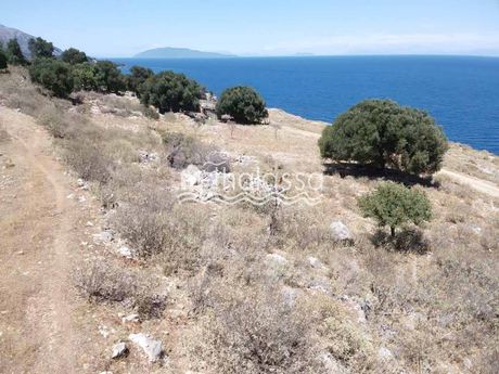 Land plot 12.000 sqm for sale