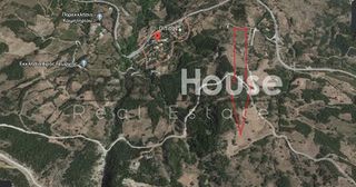 Αγροτεμάχια 3.899 τ.μ. για πώληση