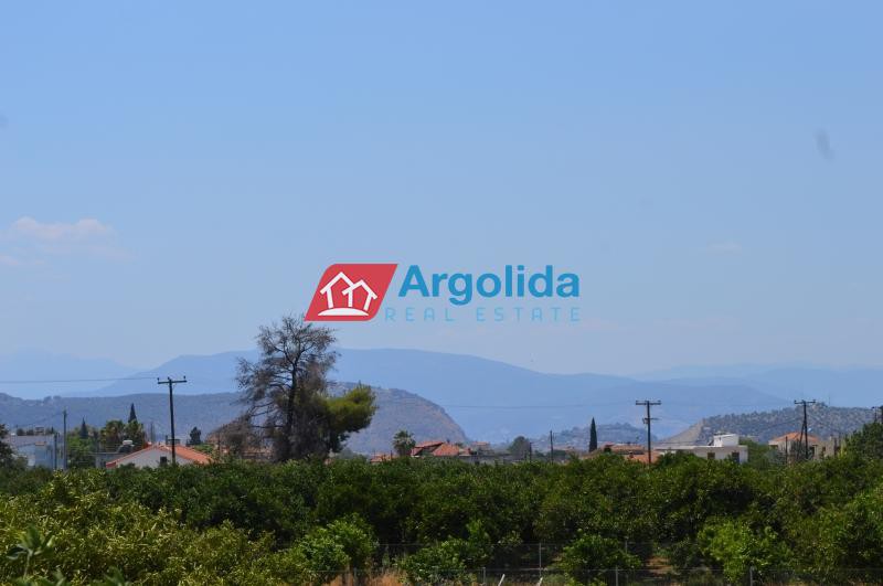 Αγροτεμάχια 11.000 τ.μ. προς πώληση, Αργολίδα, Νέα Τίρυνθα