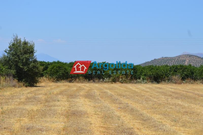 Αγροτεμάχια 11.000 τ.μ. προς πώληση, Αργολίδα, Νέα Τίρυνθα