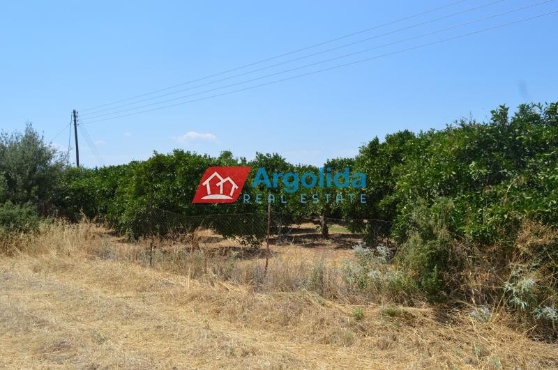Αγροτεμάχια 11.000 τ.μ. προς πώληση, Αργολίδα, Νέα Τίρυνθα