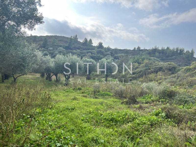 Αγροτεμάχια 649 τ.μ. προς πώληση, Κέντρο Τορώνης