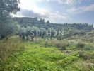 Parcel 649sqm for sale-Toroni » Center