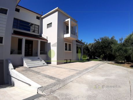 Μονοκατοικία 350 τ.μ. για πώληση