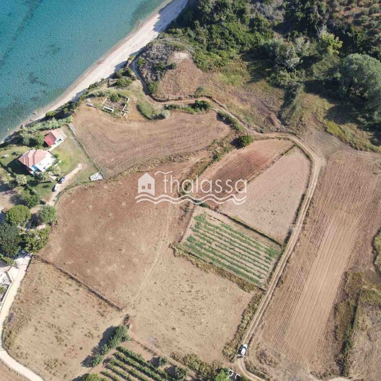 Οικόπεδο 5.500 τ.μ. πρός πώληση, Ν. Κεφαλονιάς, Κεφαλονιά