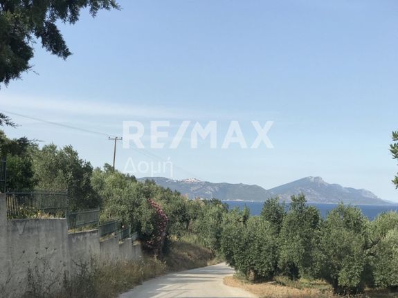 Αγροτεμάχια 4.281 τ.μ. για πώληση, Μαγνησία, Πτελεός