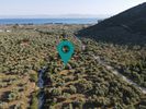 Parcel 5.060sqm for sale-Thasos » Skala Rachoniou
