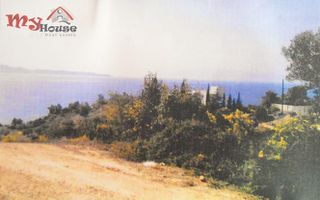 Οικόπεδο 903 τ.μ. προς πώληση, Πορτοχέλι-thumb-3