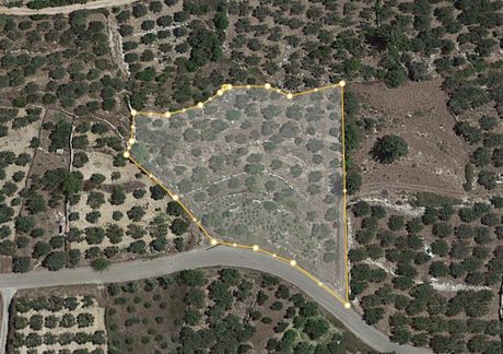 Land plot 4.905sqm for sale-Krionerida » Nipos