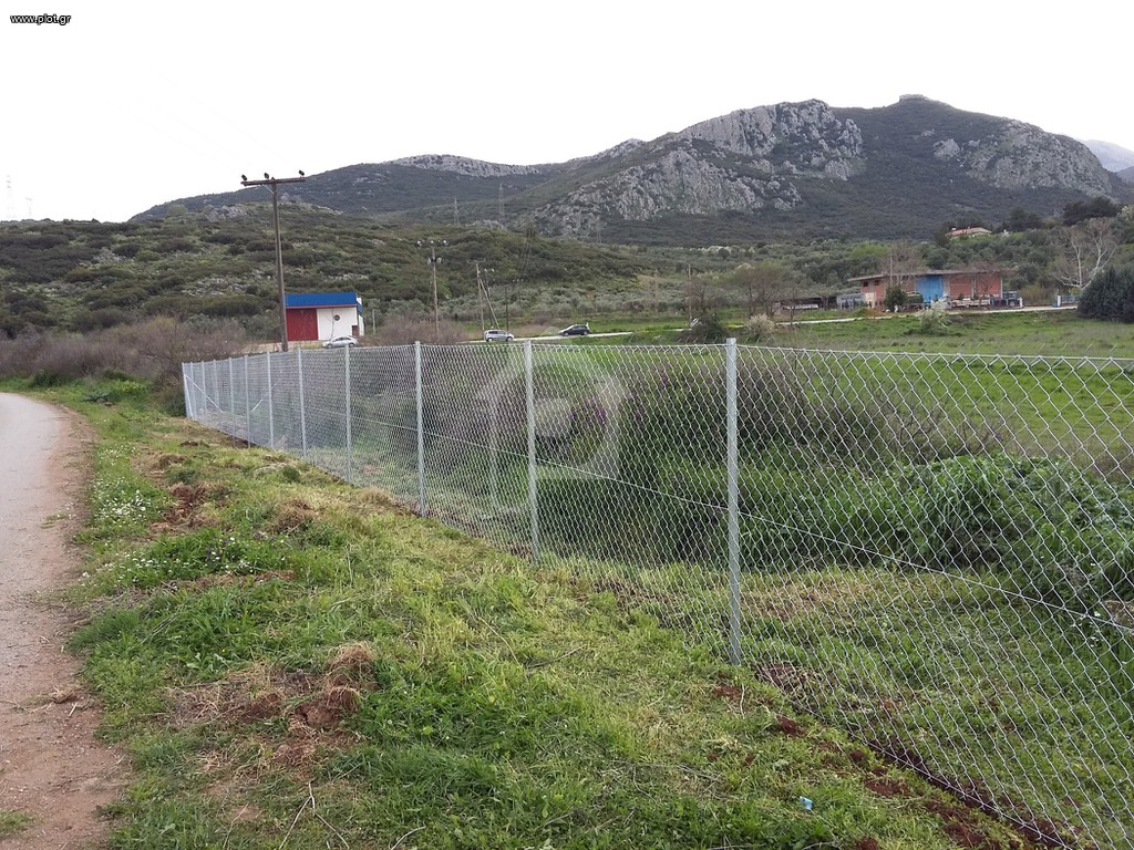 Αγροτεμάχια 10.000 τ.μ. πρός πώληση, Βοιωτία, Αλίαρτος