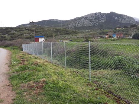Αγροτεμάχια 10.000 τ.μ. προς πώληση