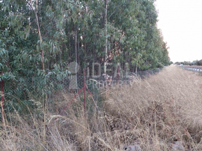 Αγροτεμάχια 4.327 τ.μ. προς πώληση, Λιμνοχώρι