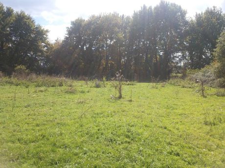 Parcel 11.500 sqm for sale