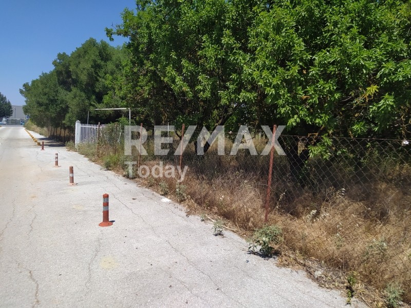 Αγροτεμάχια 1.000 τ.μ. πρός ενοικίαση, Θεσσαλονίκη - Περιφ/Κοί Δήμοι, Πυλαία
