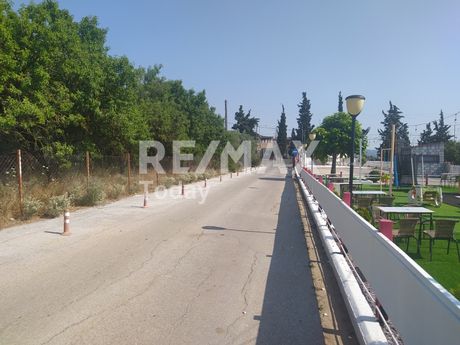Αγροτεμάχια 1.000τ.μ. για ενοικίαση-Πυλαία » Mediterranean Cosmos